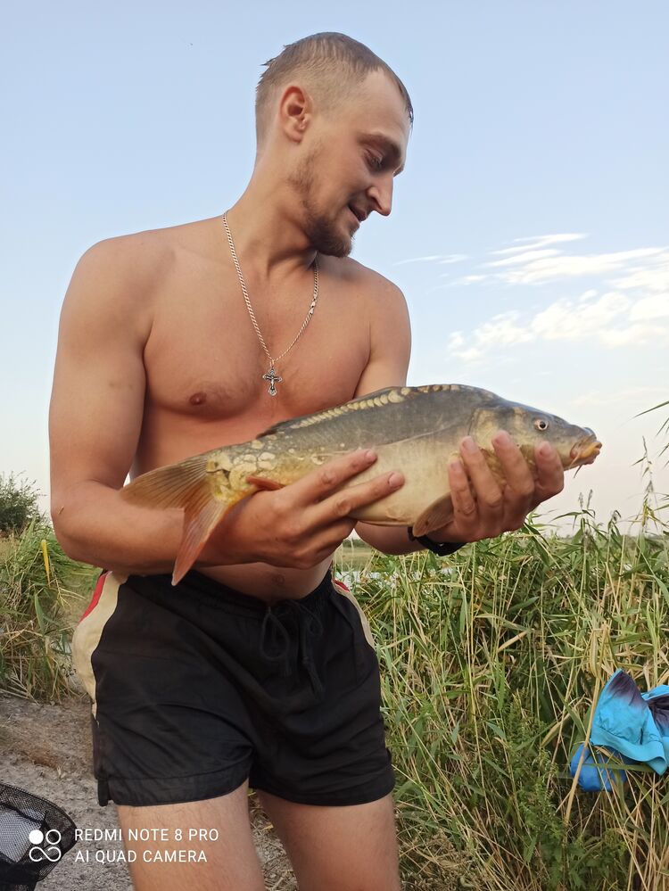 ���������� ���������, ���� ������� ��������, 39 ���, ������������ ��� ������, ����� � ���������