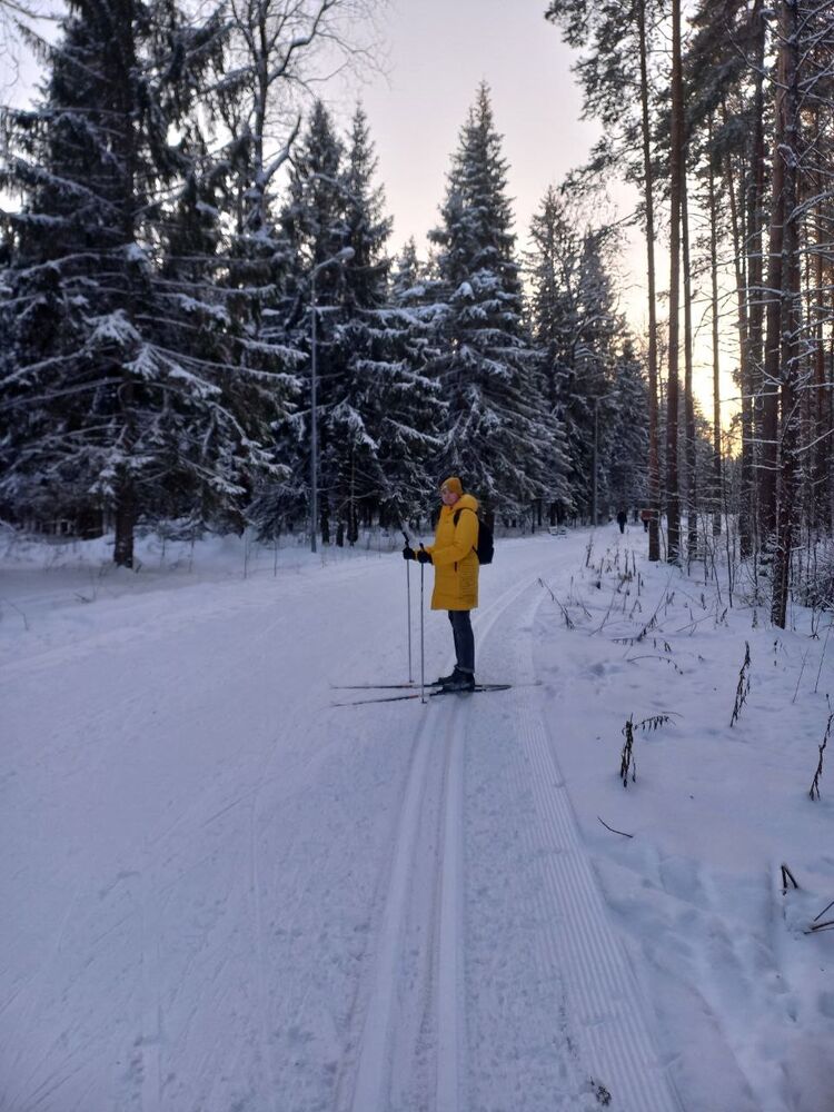 ���� 31734725 ����� �������, 22 ����, ���� ���������� � �������