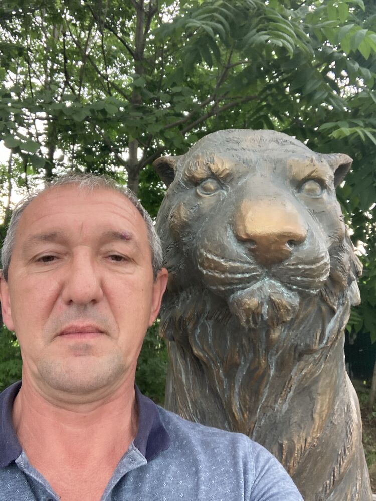 ���� 49667925 ������� ����, 55 ���, ���� ���������� � ����������