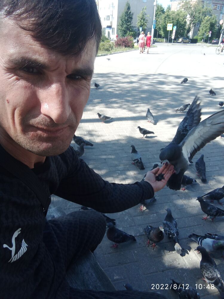 ���������� ������, ���� ������� �����������, 40 ���, ������������ ��� ������, ����� � ���������