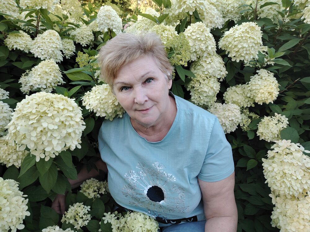 ���������� �������������, ���� ������� �����, 60 ���, ������������ ��� c�������� ���������, ���������