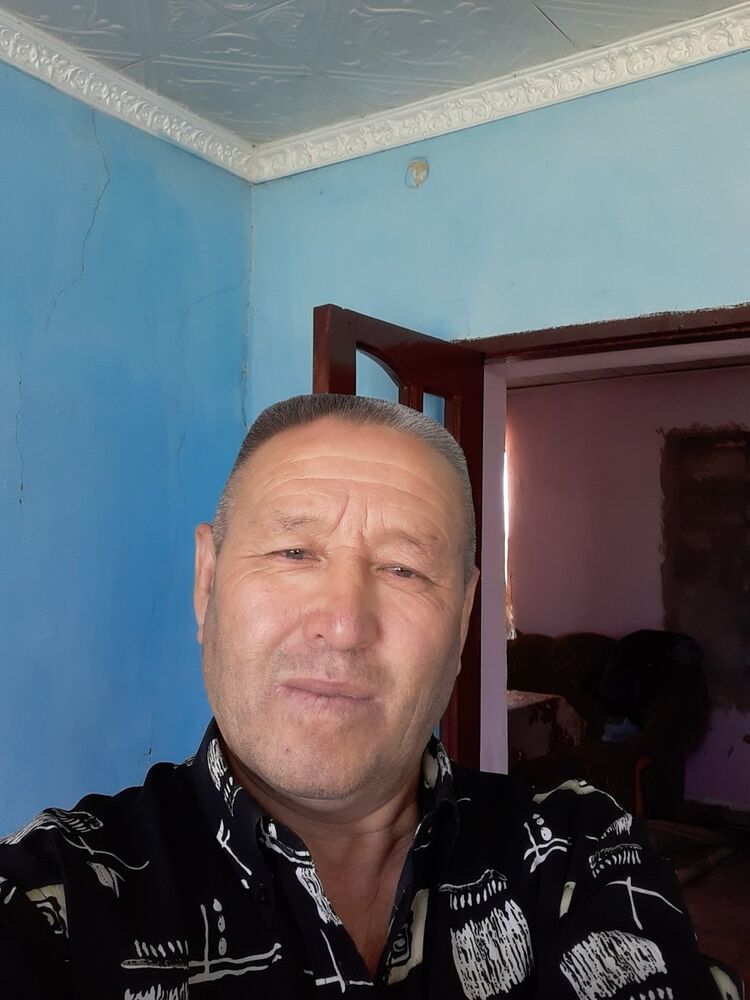  17366175  , 55 ,    