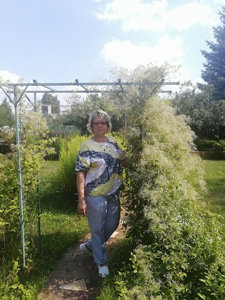 ���������� ��������, ���� ������� �������, 52 ����, ������������ ��� c�������� ���������