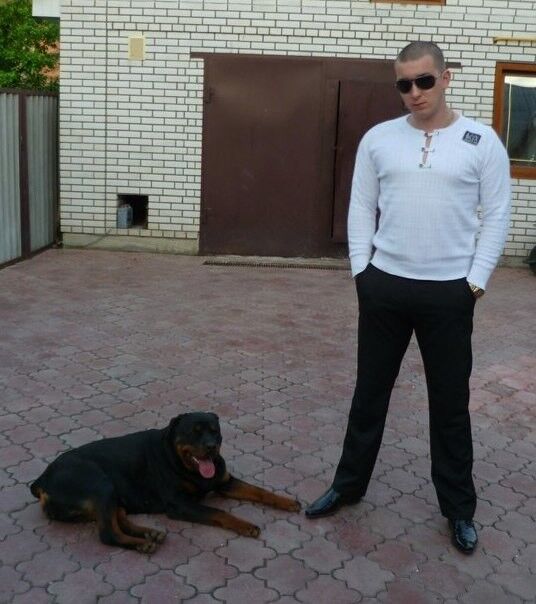 ���������� ����, ���� ������� ��������, 38 ���, ������������ ��� ������, ���������