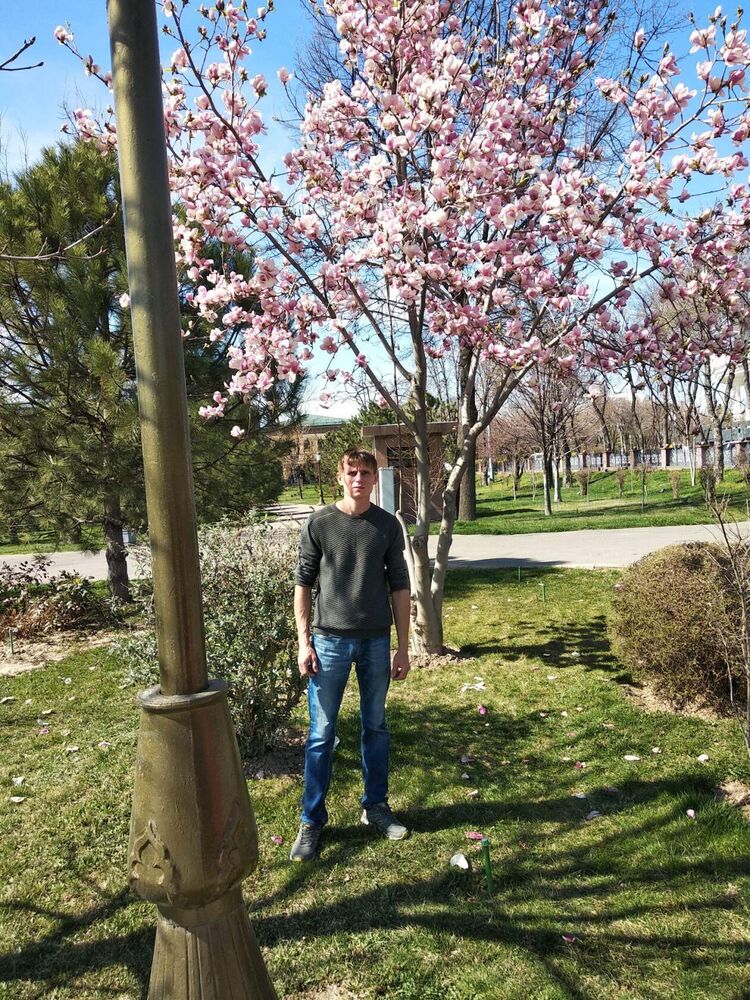 ���������� �������, ���� ������� ����, 38 ���, ������������ ��� ������, ����� � ���������