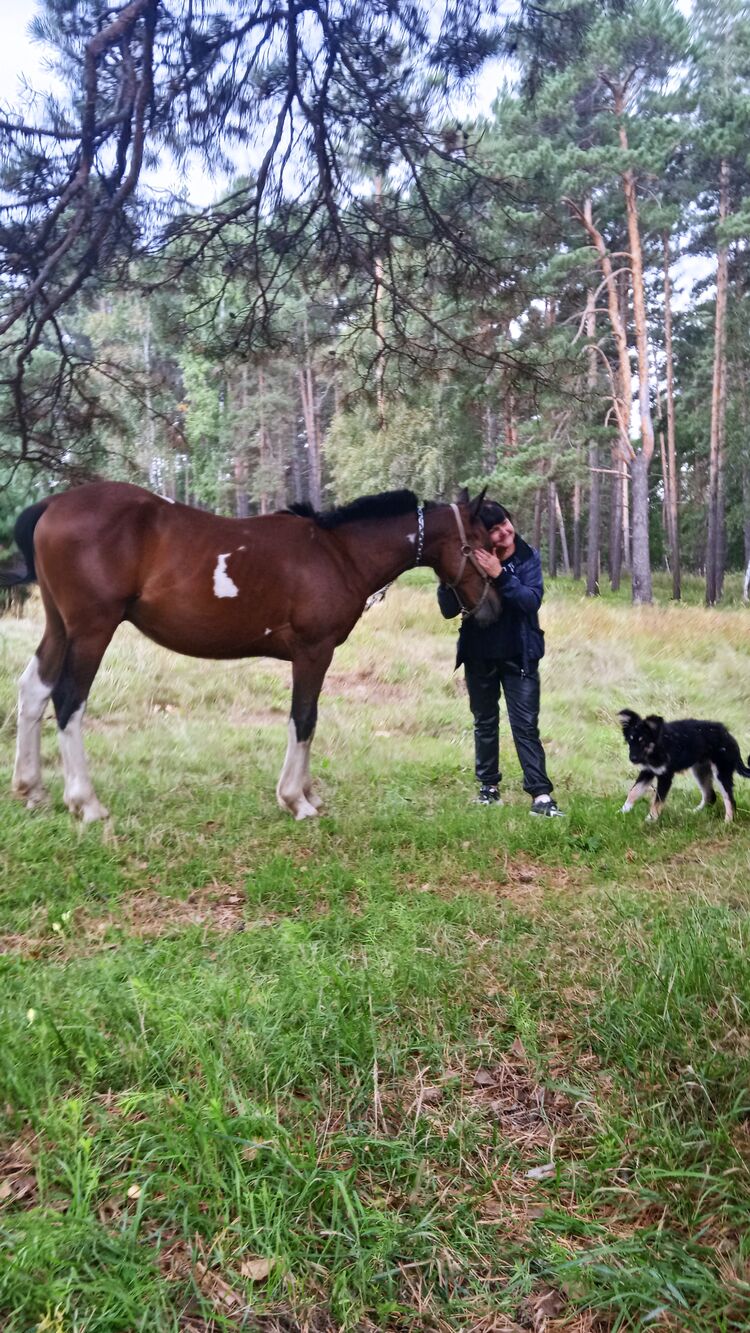 ���������� ������-���������, ���� ������� ������, 62 ����, ������������ ��� c�������� ���������