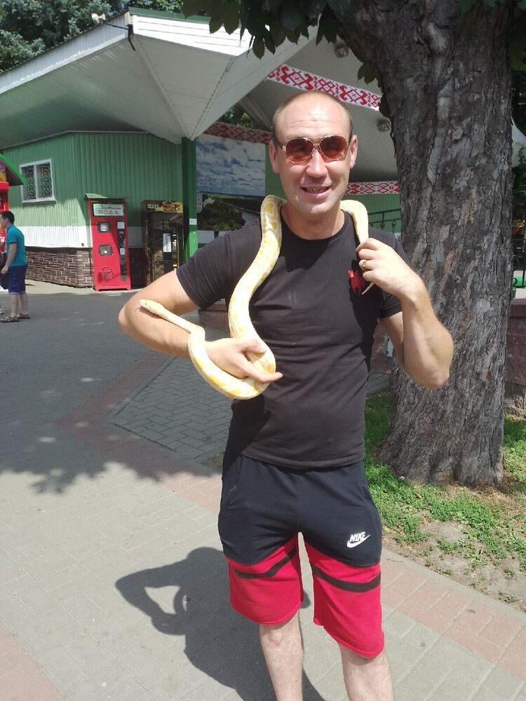 ���������� ������, ���� ������� �����, 33 ����, ������������ ��� ������, ����� � ���������, c�������� ���������