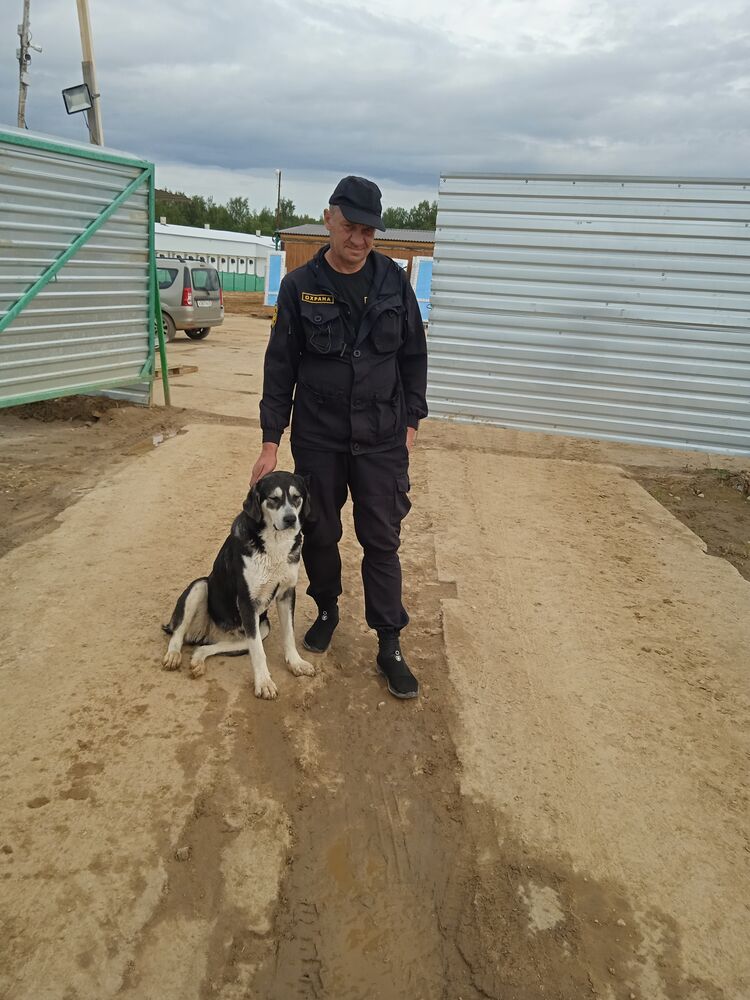 ���� 35008085 ������� ����, 52 ����, ���� ���������� � ������