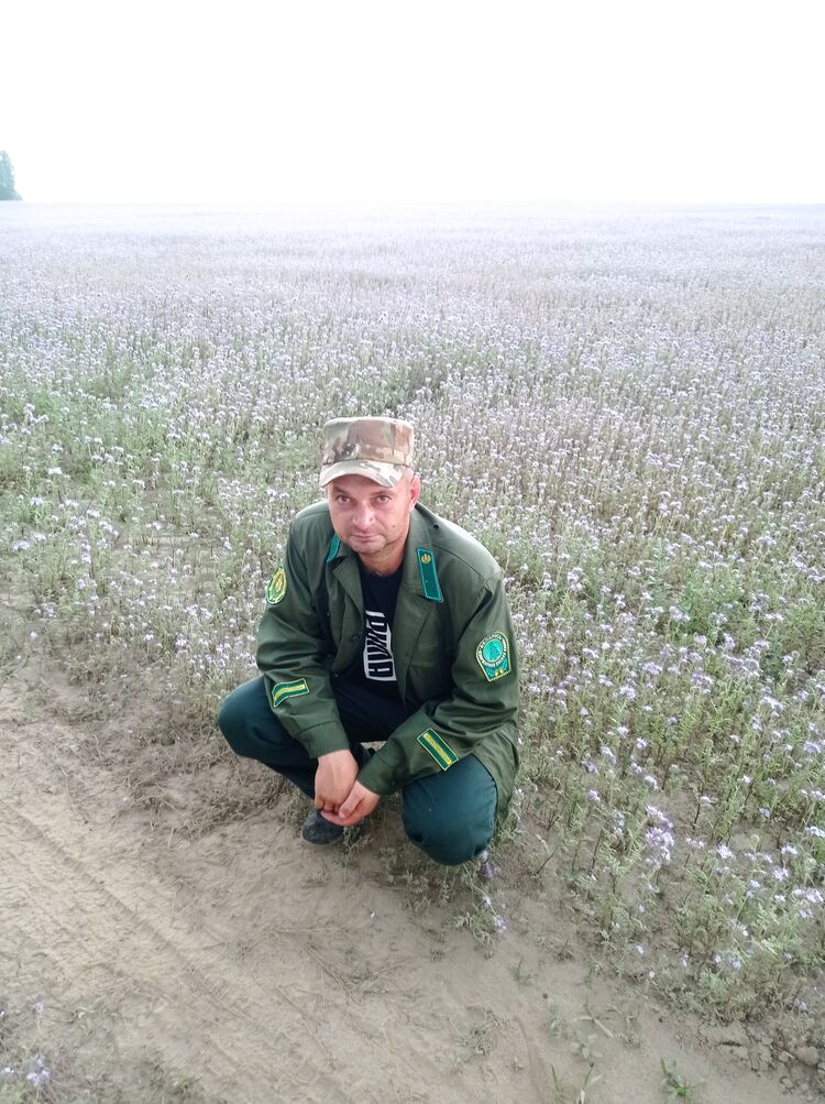 ���� 44091405 ������� ������, 36 ���, ���� ���������� � ������