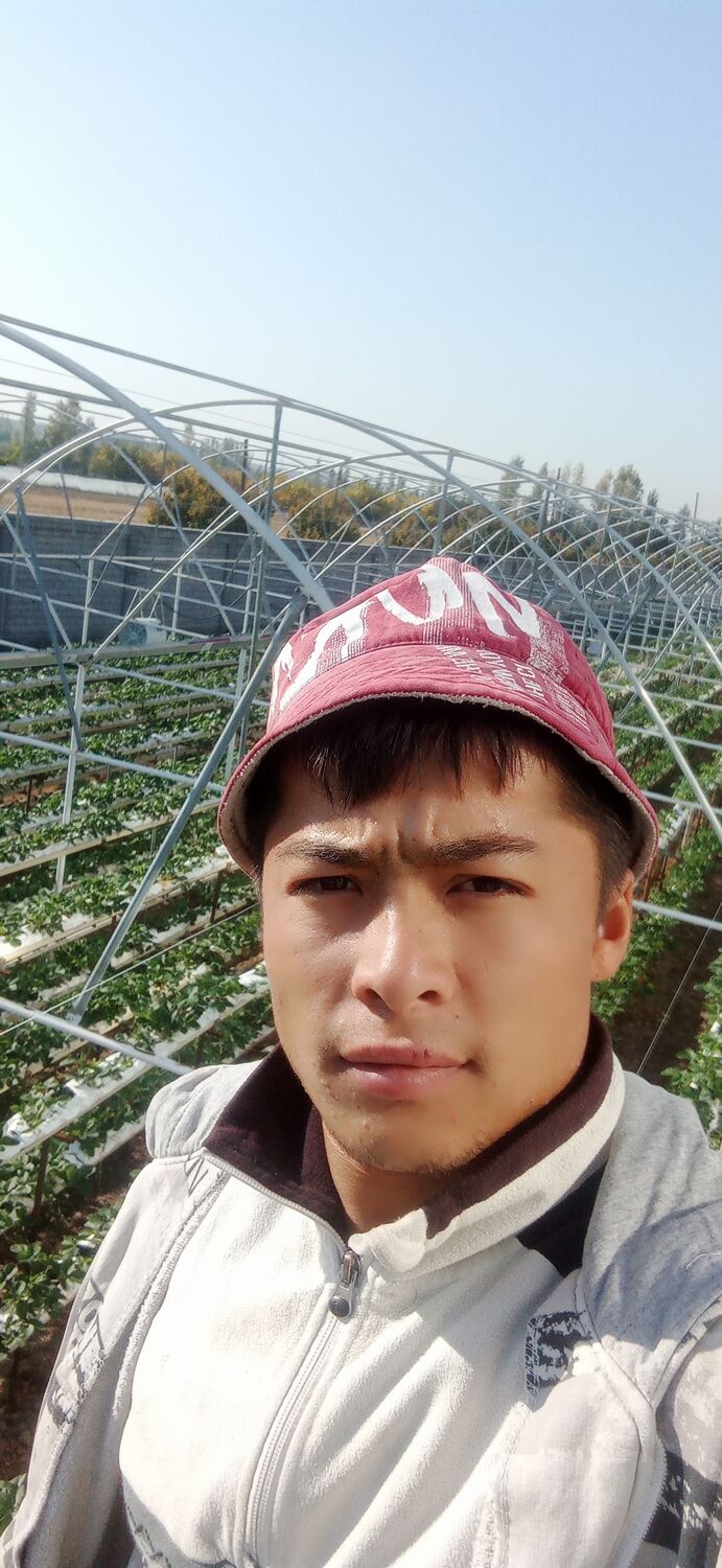 ���� 24129775 ������� ��������, 29 ���, ���� ���������� � ��������