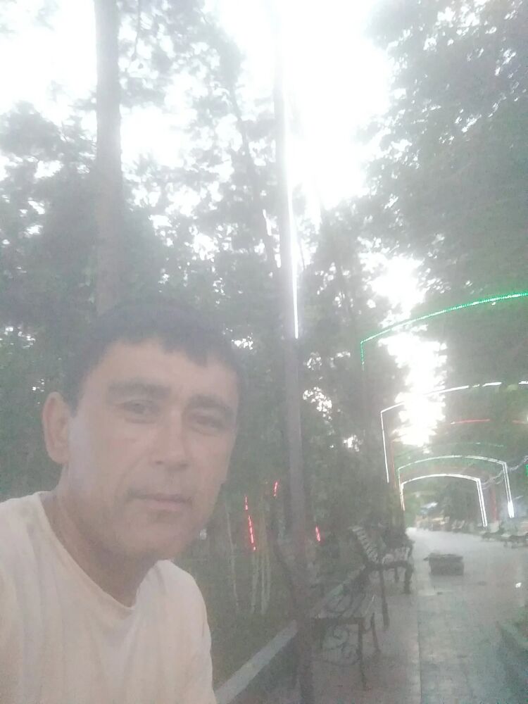  52810255  , 44 ,    -
