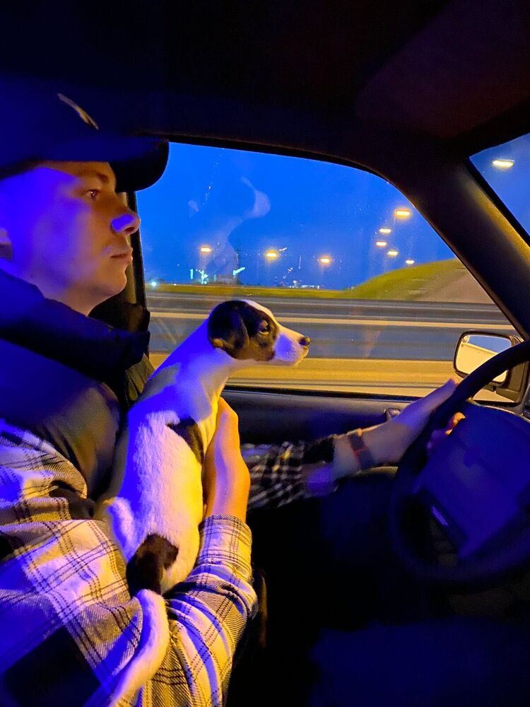 ���������� ������, ���� ������� ������, 34 ����, ������������ ��� ������, ����� � ���������, c�������� ���������, ���������