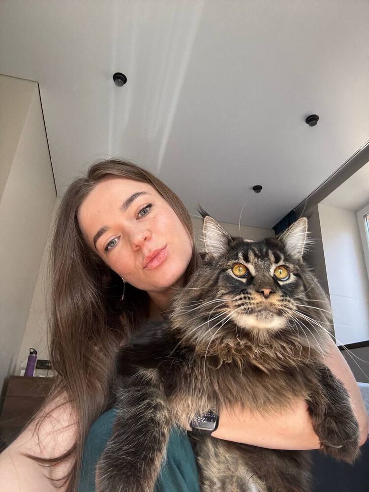  53498345  , 28 ,    -