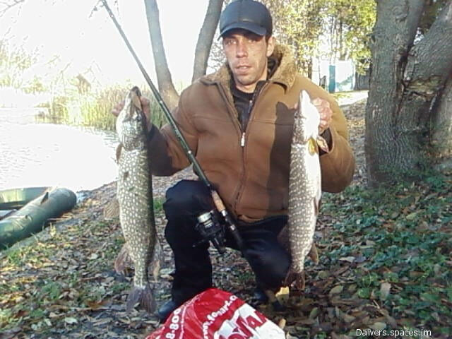 ���������� ����, ���� ������� ��������, 49 ���, ������������ ��� c�������� ���������, ���������