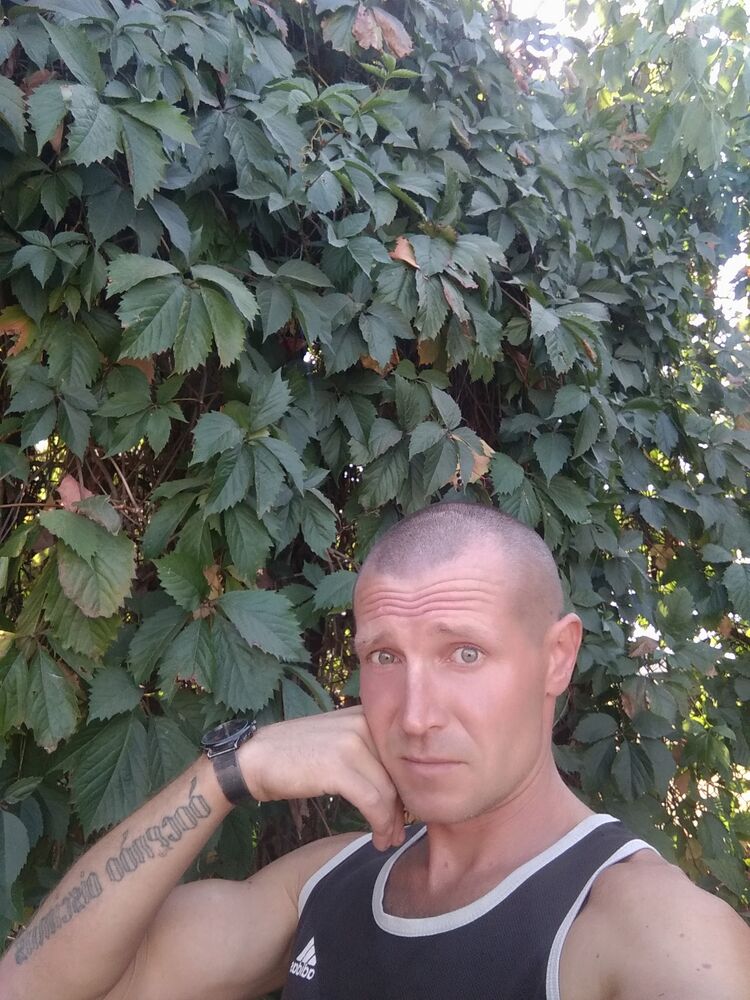  37989305  , 35 ,    