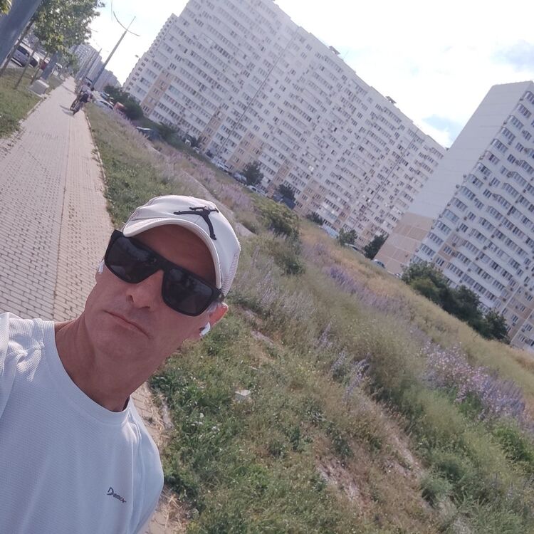  52802635  , 44 ,    