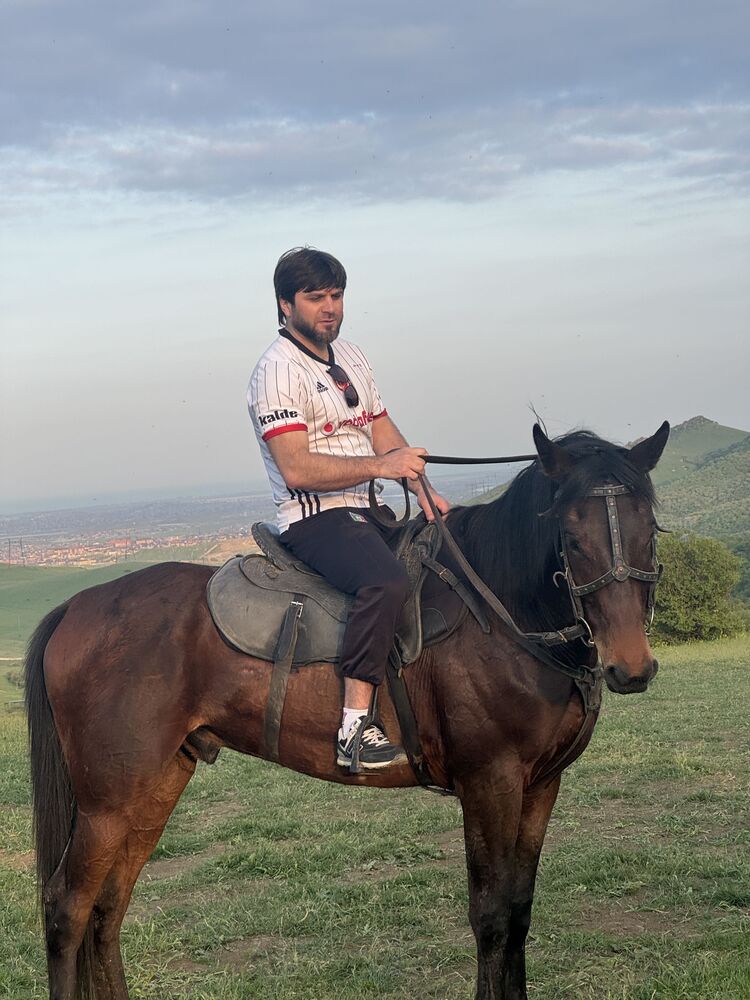 ���������� ���������, ���� ������� �������, 37 ���, ������������ ��� ������, ����� � ���������