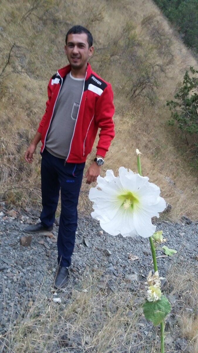 ���������� ���������, ���� ������� Otabek, 35 ���, ������������ ��� ����� � ���������, c�������� ���������