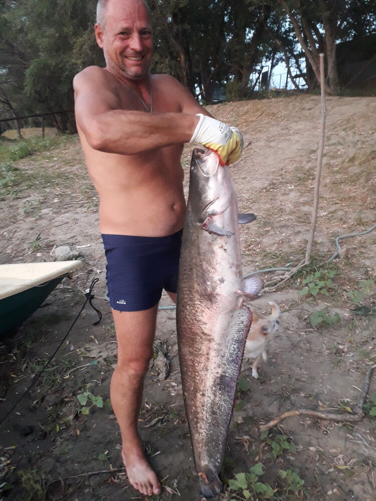 ���������� ������, ���� ������� ���������, 52 ����, ������������ ��� ������