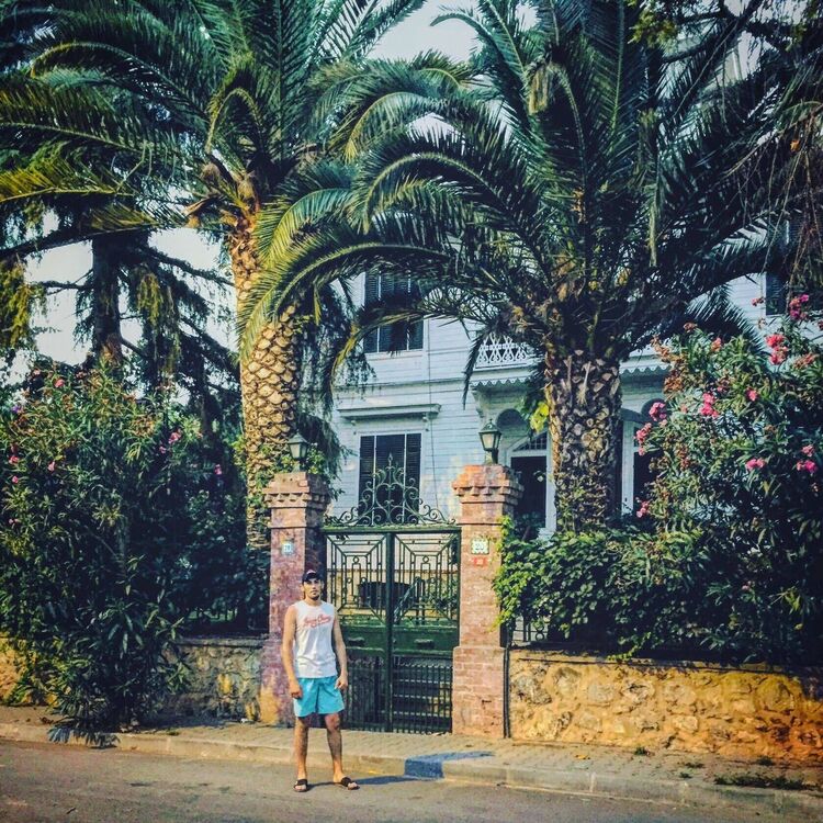 ���� 35378815 ������� ������, 33 ����, ���� ���������� � �����������