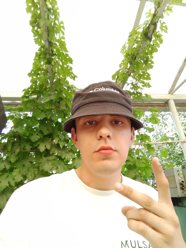 ���������� ���������, ���� ����� �����, 24 ����, ������������ ��� ����� � ���������, c�������� ���������