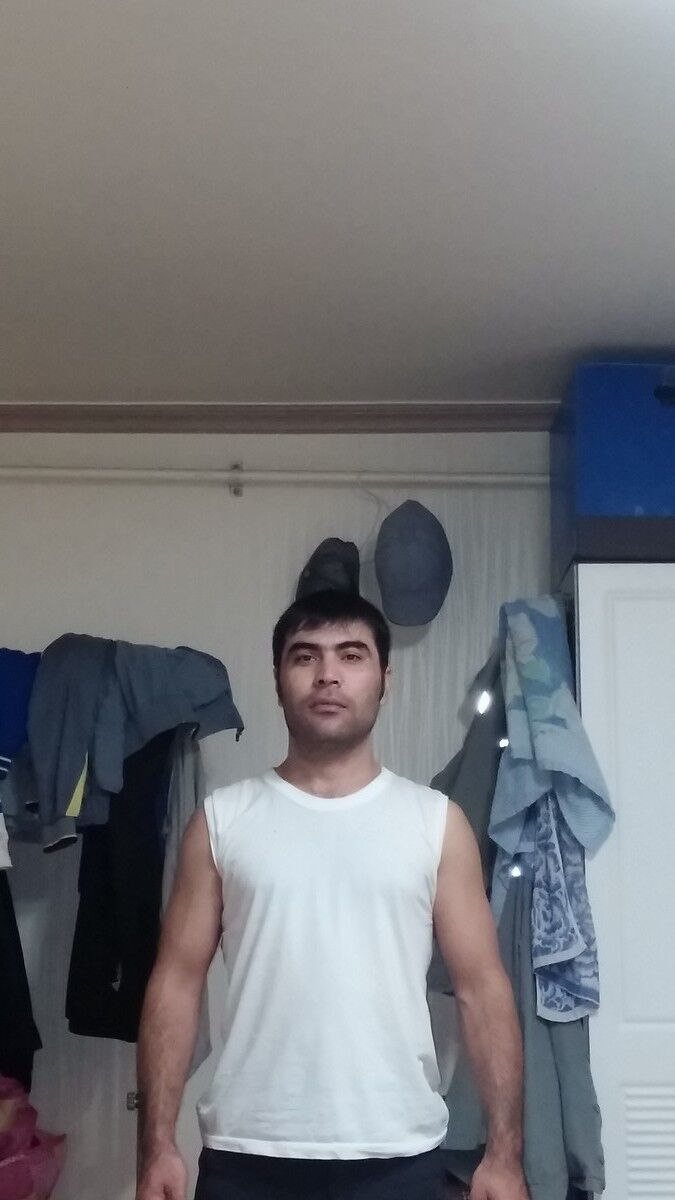  8300245  Sardor, 43 ,    