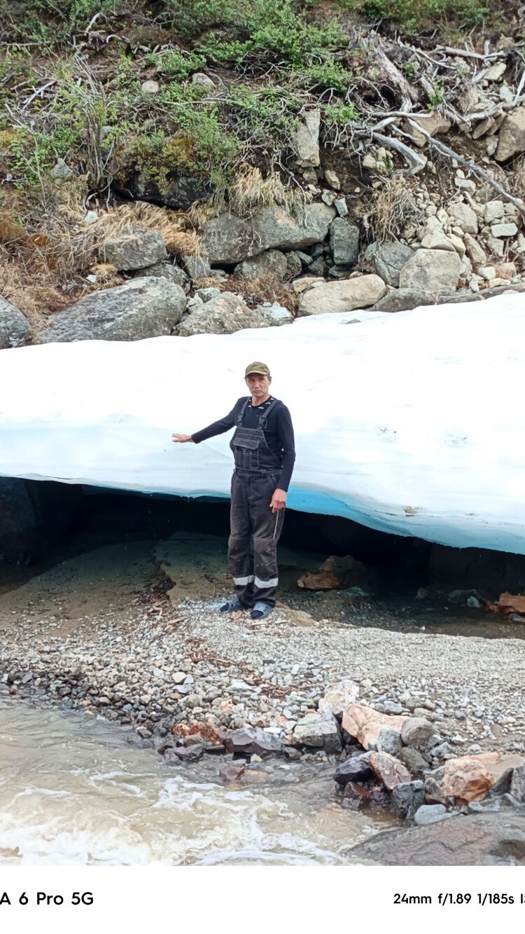 ���� 56147235 ������� ����, 51 ���, ���� ���������� � ������