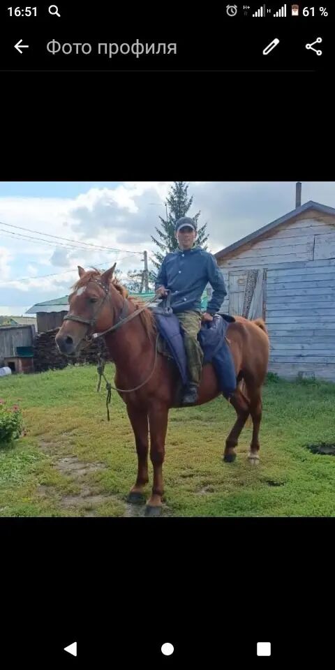  48339685  Alexander, 32 ,    