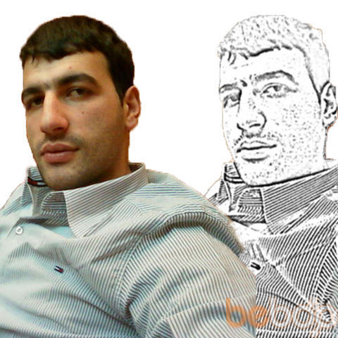 ���� 942445 ������� Ziya, 38 ���, ���� ���������� � ����