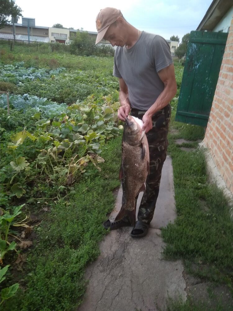  ,   Paulo, 43 ,   