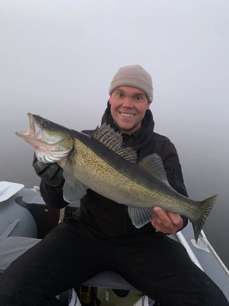 ���������� �������, ���� ������� �������, 31 ���, ������������ ��� ������, ����� � ���������, c�������� ���������, ���������