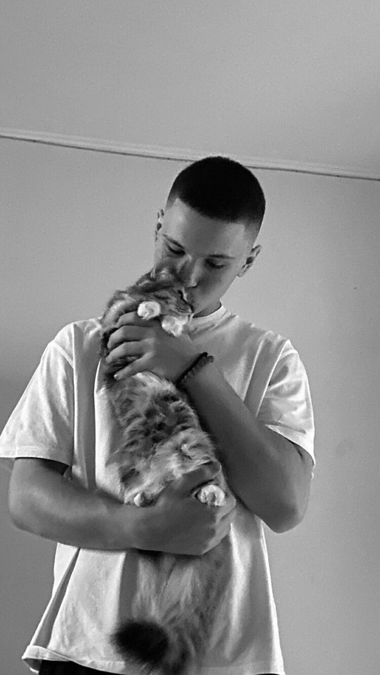 ���������� �����, ���� ����� ����, 20 ���, ������������ ��� ������, ����� � ���������