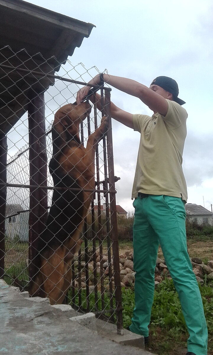 ���������� �����, ���� ������� �������, 33 ����, ������������ ��� ������