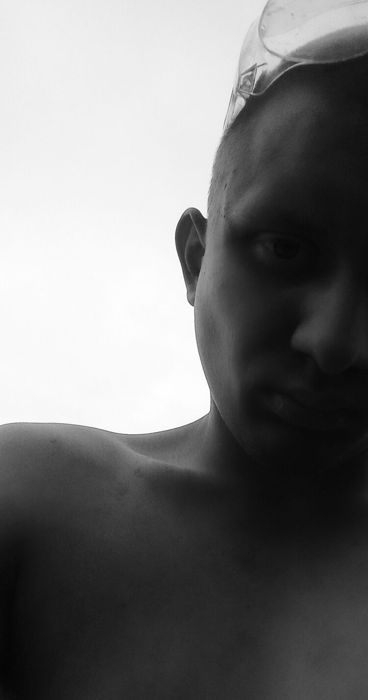  36643205  , 20 ,    