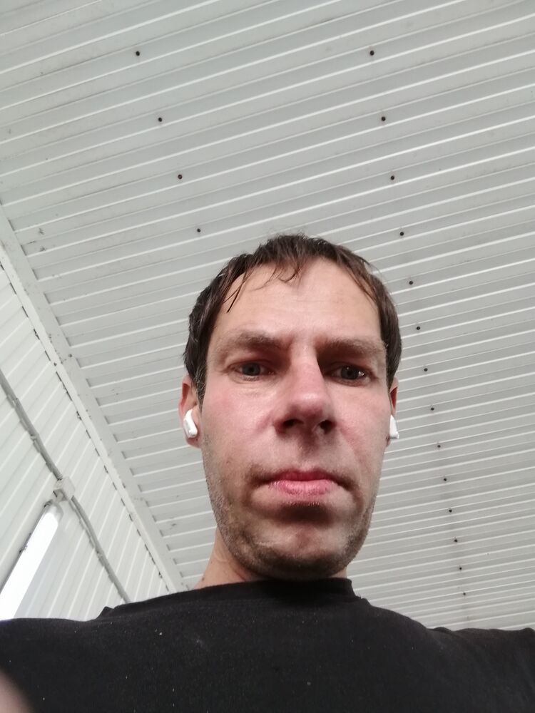 ���� 53349565 ������� Shark, 39 ���, ���� ���������� � ��������