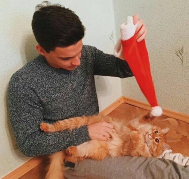 ���� 28698695 ������� �����, 32 ����, ���� ���������� � ���