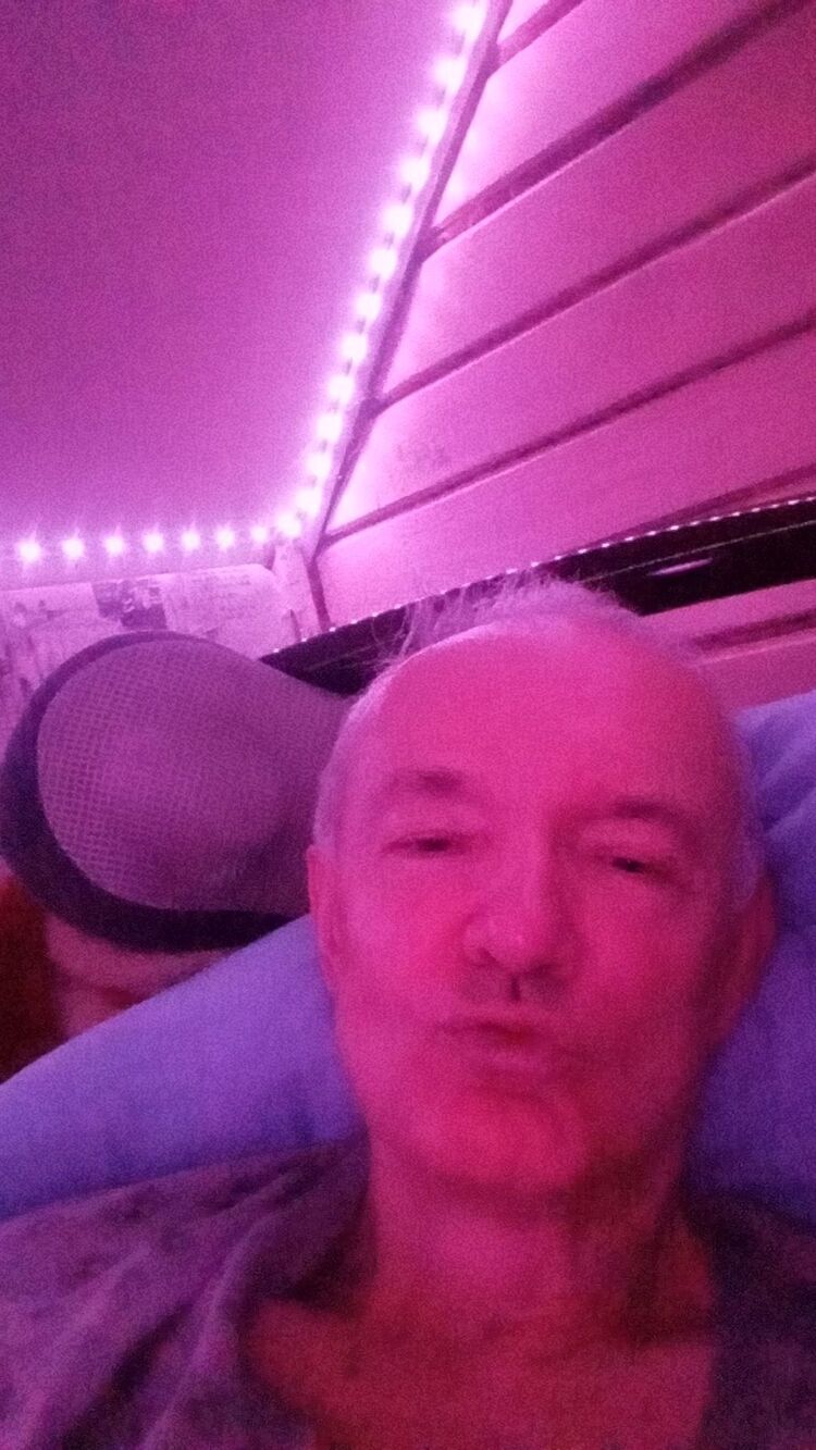 ���� 49152865 ������� ��������, 63 ����, ���� ���������� � ��������