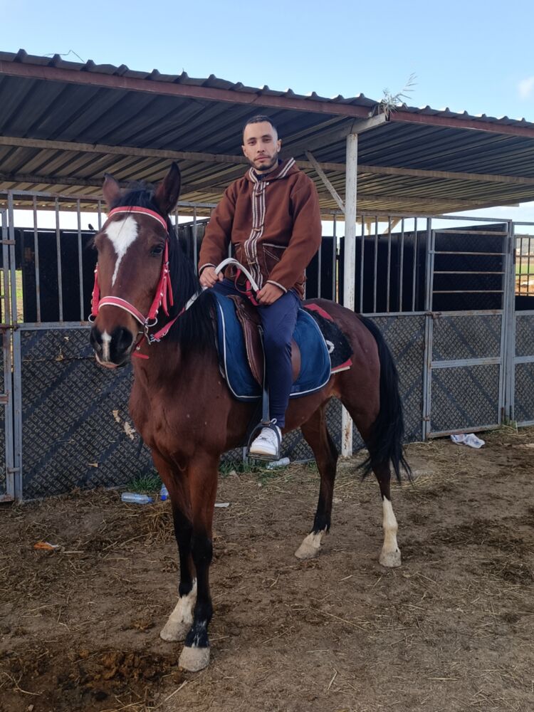 ���������� Algiers, ���� ������� Amire, 30 ���, ������������ ��� ������, ����� � ���������