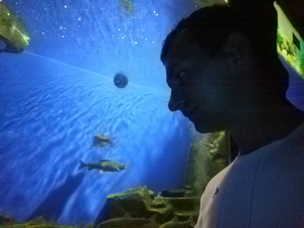 ���������� �������, ���� ������� �����, 35 ���, ������������ ��� ������, ����� � ���������, c�������� ���������