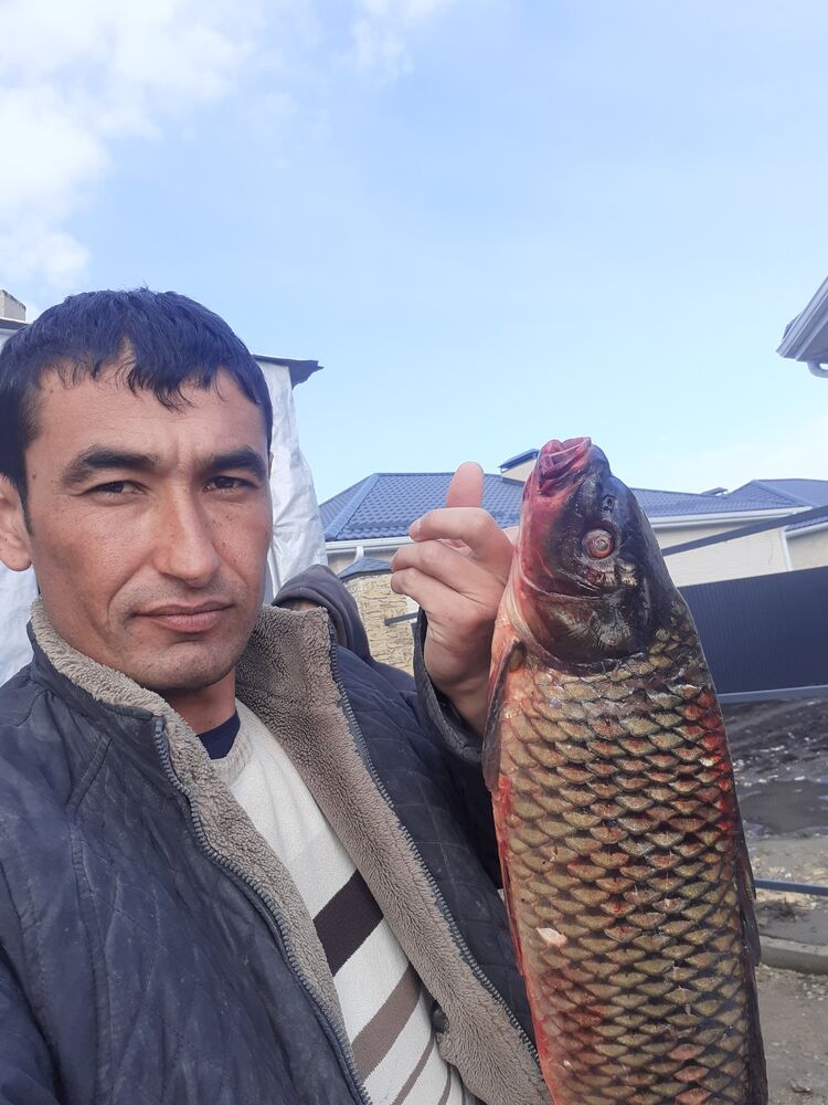 ���������� ���������, ���� ������� ������, 41 ���, ������������ ��� ������, ����� � ���������