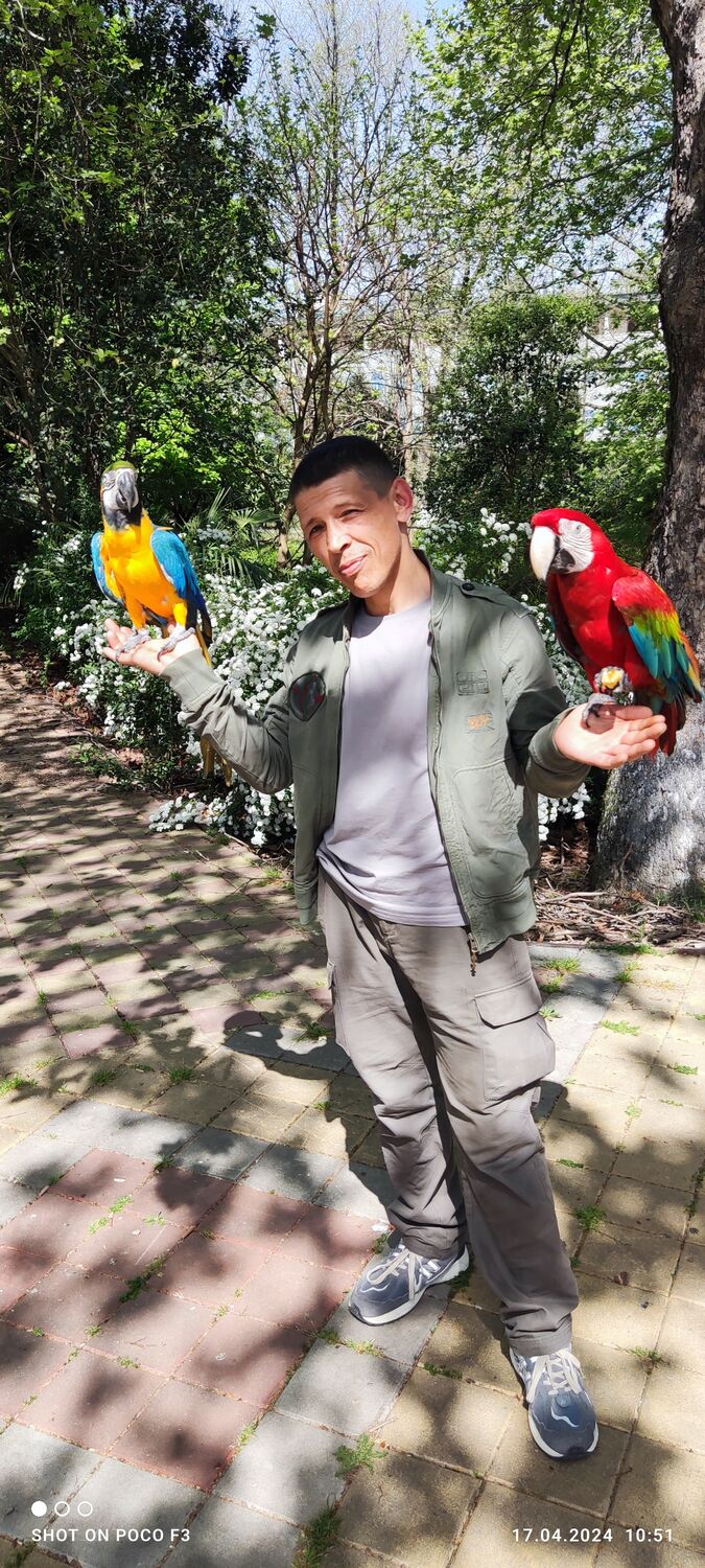 ���������� ������, ���� ������� ������, 45 ���, ������������ ��� ������, c�������� ���������, ���������