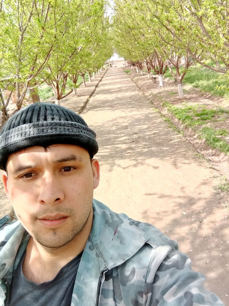 ���� 26125885 ������� Ali, 29 ���, ���� ���������� � �������