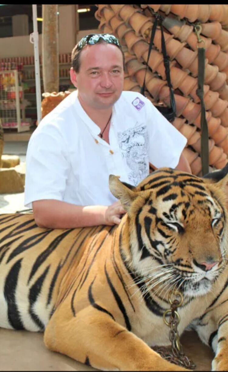 ���� 56255775 ������� ���������, 52 ����, ���� ���������� � ���������