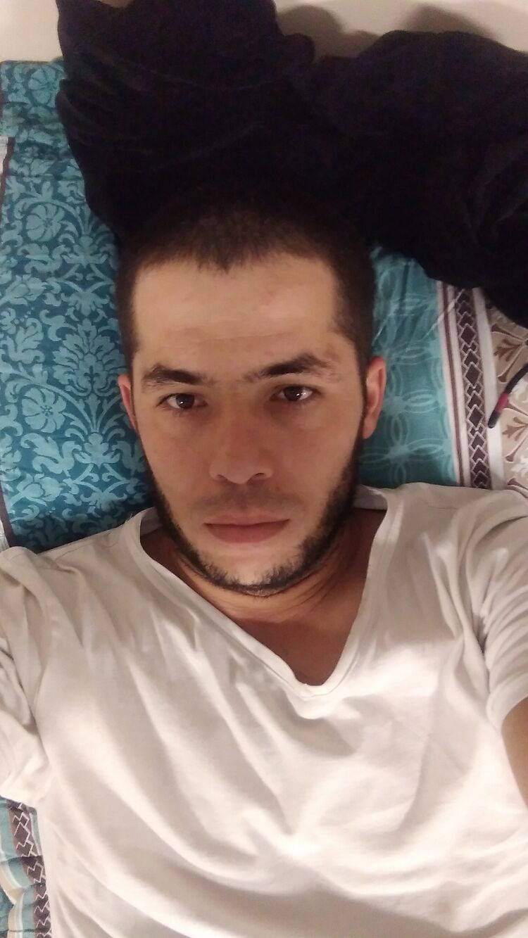  36232575  , 33 ,    