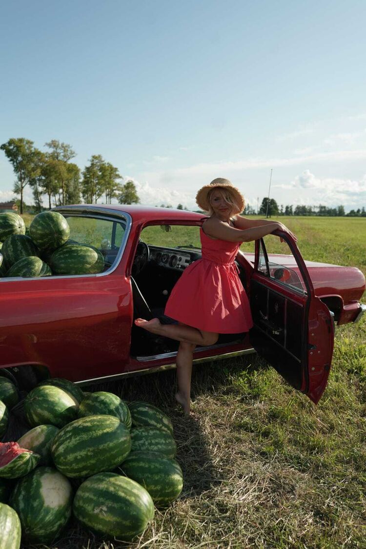  53950595  , 48 ,    -