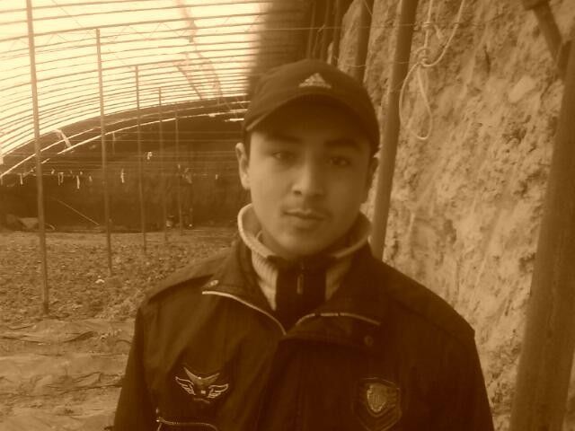  ,   , 31 ,     , c 