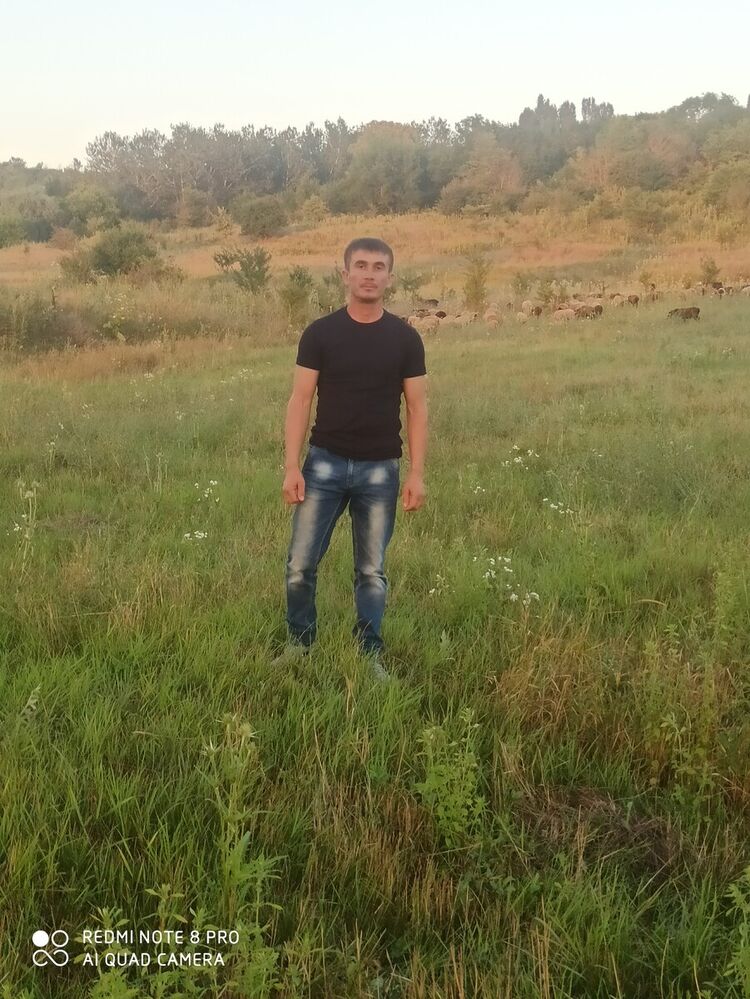  20654905  , 37 ,    