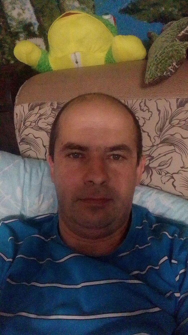  31299755  , 41 ,    
