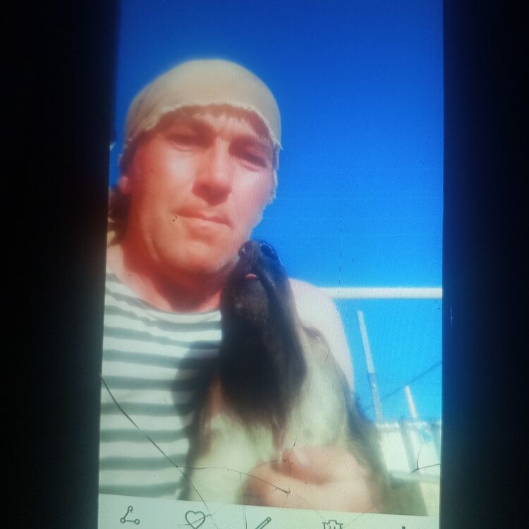 ���� 55912615 ������� ������, 54 ����, ���� ���������� � ��������