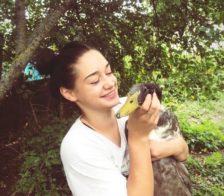 ���������� ������, ���� ������� ����, 31 ���, ������������ ��� ������, ����� � ���������